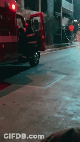 White Pigeon With Red Tie Flying GIF
