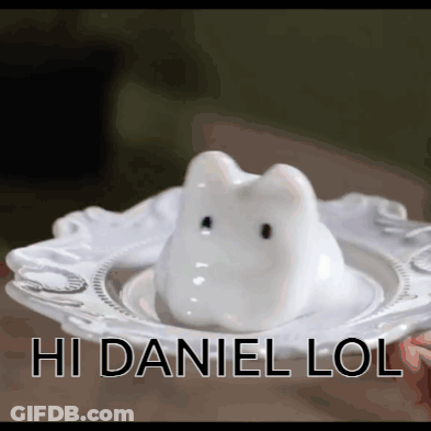 White Plate With Bunny Saying Hi Daniel LOL GIF