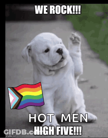White Puppy With Rainbow Flag We Rock Hot Men High Five GIF