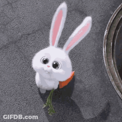 White Rabbit Eating Carrot GIF