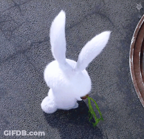 White Rabbit Eating Green Plant GIF