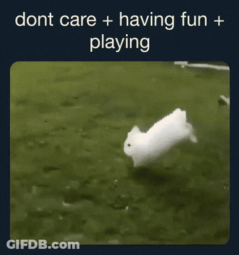 White Rabbit Having Fun Playing GIF