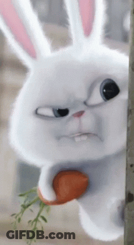White Rabbit Holding Carrot GIF