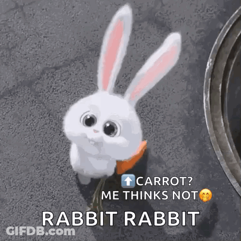 White Rabbit Holding Carrot GIF