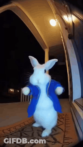 White Rabbit In Blue Coat On Porch GIF