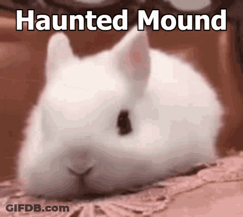 White Rabbit Laying On Bed Haunted Mound GIF