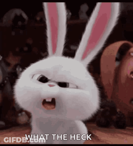 White Rabbit Making Funny Face Saying What The Heck GIF