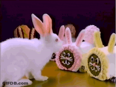 White Rabbit Next To Pink And Yellow Rabbit GIF