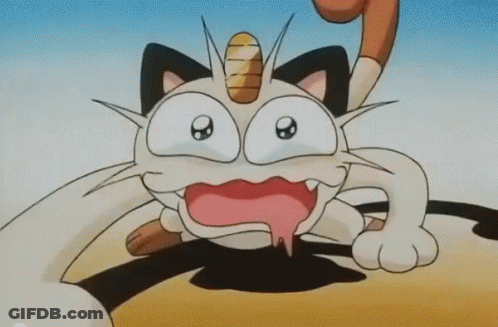 White Rabbit On Sandy Beach Saying Okay GIF