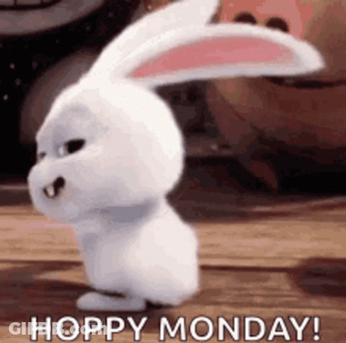 White Rabbit Saying Hoppy Monday GIF