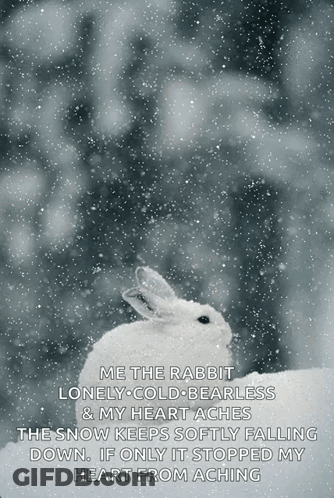 White Rabbit Sitting In Snow With Poem GIF