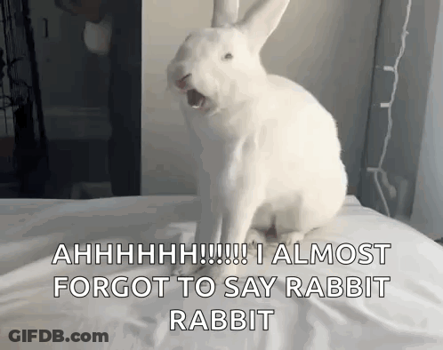 White Rabbit Sitting On Bed Saying Ahhhh GIF