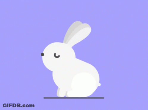 White Rabbit With Black Nose Running GIF