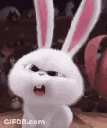 White Rabbit With Pink Ears Standing GIF