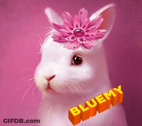 White Rabbit With Pink Flower Bluemy GIF