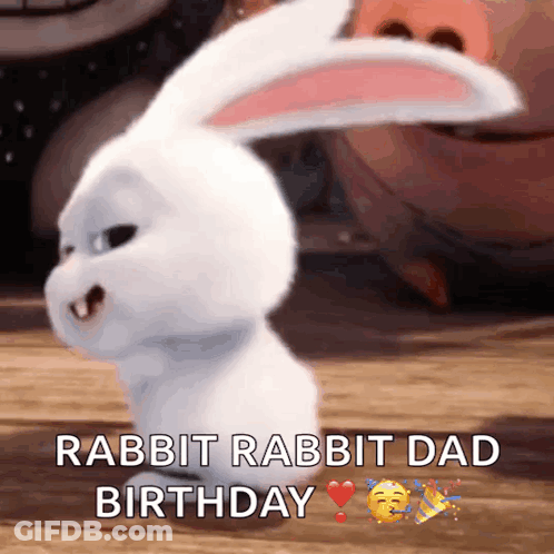 White Rabbit With Rabbit Rabbit Dad Birthday GIF