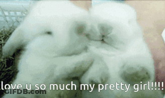 White Rabbits Laying Love U So Much My Pretty Girl GIF
