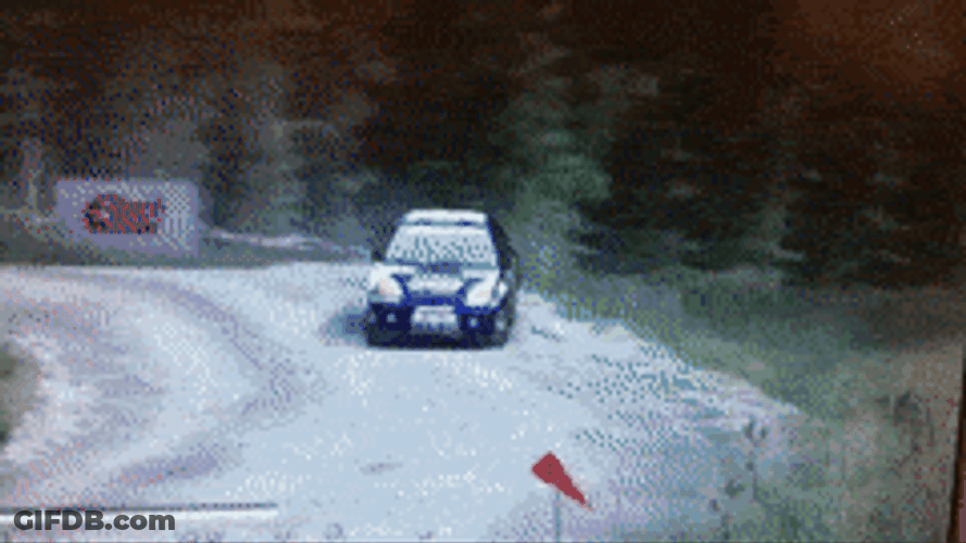 White Road Dirt Showdown GIF