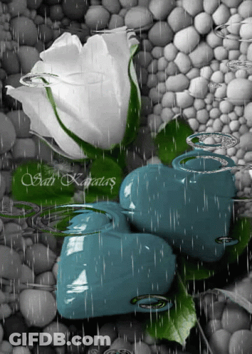 White Rose And Two Blue Hearts With Rain Drops GIF