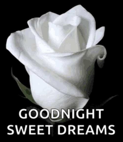 White Rose Good Night Sweet Dreams GIF
