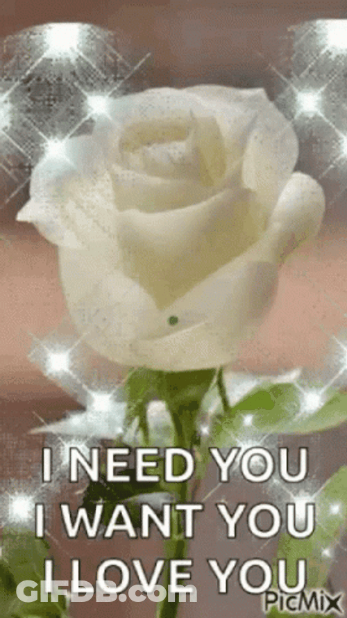 White Rose I Need You GIF