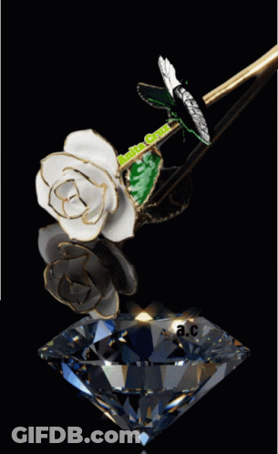 White Rose With Green Butterfly And Diamond GIF