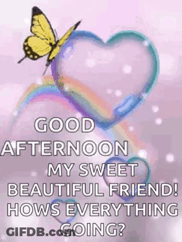 White Rose With Sunny Saturday Sister Love GIF