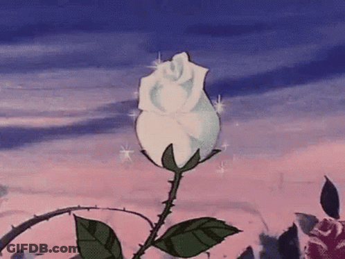 White Rose With Thorns Against Pink And Blue Sky GIF