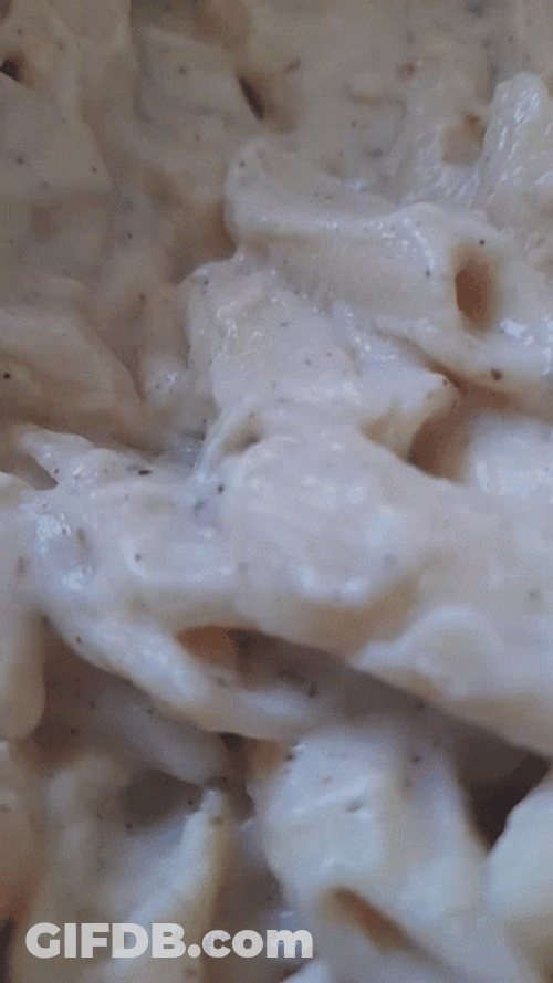 White Sauce Penne Pasta Dish Recipe GIF