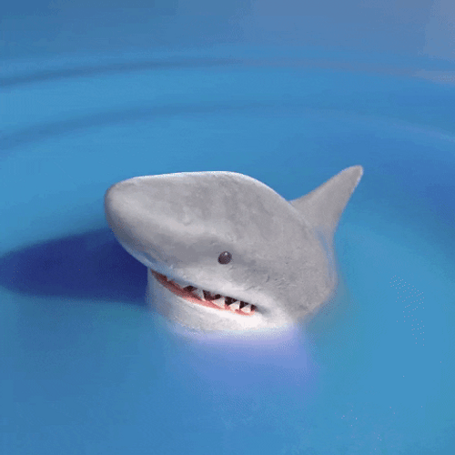 White Shark Okay Meme GIF