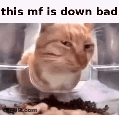 White Sign Saying Currently WN Bad GIF