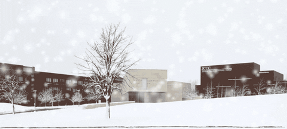 White Snow Falling GIF