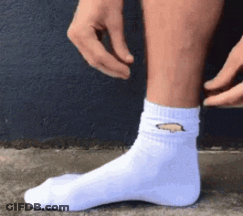 White Socks With Pig GIF