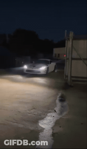 White Sports Car Parked In Dark Parking Lot At Night GIF