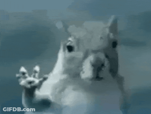 White Squirrel Waving On Blue Surface GIF