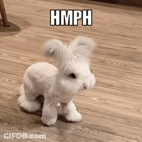 White Stuffed Animal Saying Hmph GIF