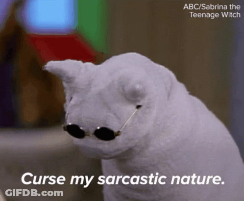 White Stuffed Animal Sunglasses Curse My Sarcastic Nature GIF