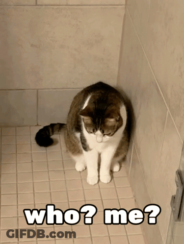 White Tank Top Man Says I'm Funny Guy GIF