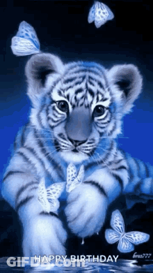 White Tiger Cub With Blue Butterflies In Water GIF