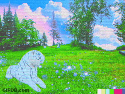 White Tiger Laying In Grass With Bubbles GIF