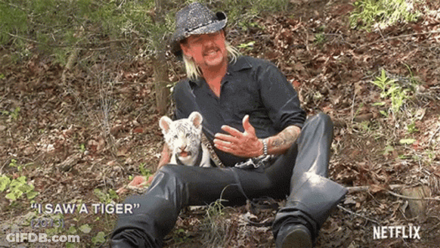 White Tiger With Tiger King GIF