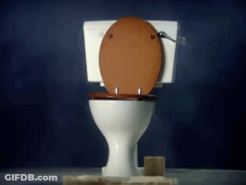 White Toilet With Brown Seat GIF