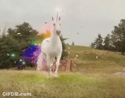 White Unicorn Running Rainbow GIF