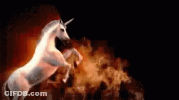 White Unicorn Standing On Hind Legs In Front Of Fire GIF