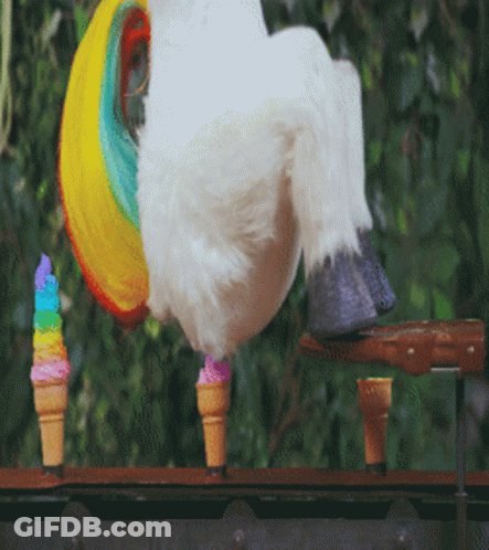 White Unicorn With Rainbow On Head GIF