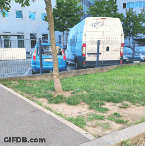 White Van With Art Parked Next To Blue Van GIF