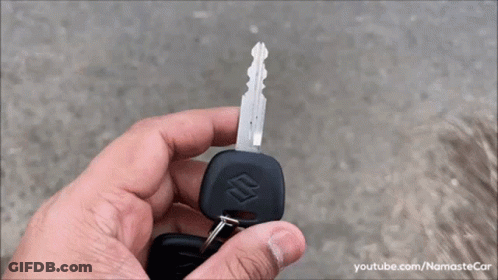 White Van With Dog On Side Parked GIF