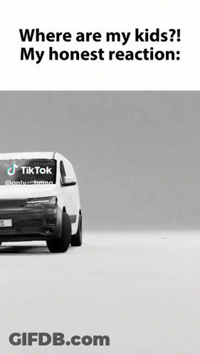 White Van With TikTok Sticker On Windshield GIF