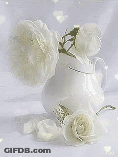 White Vase Filled With White Roses GIF