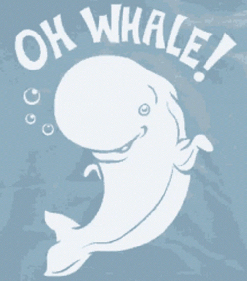 White Whale Shark GIF